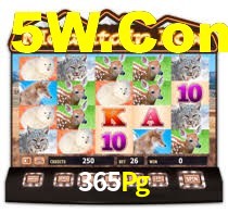 365Pg.Com